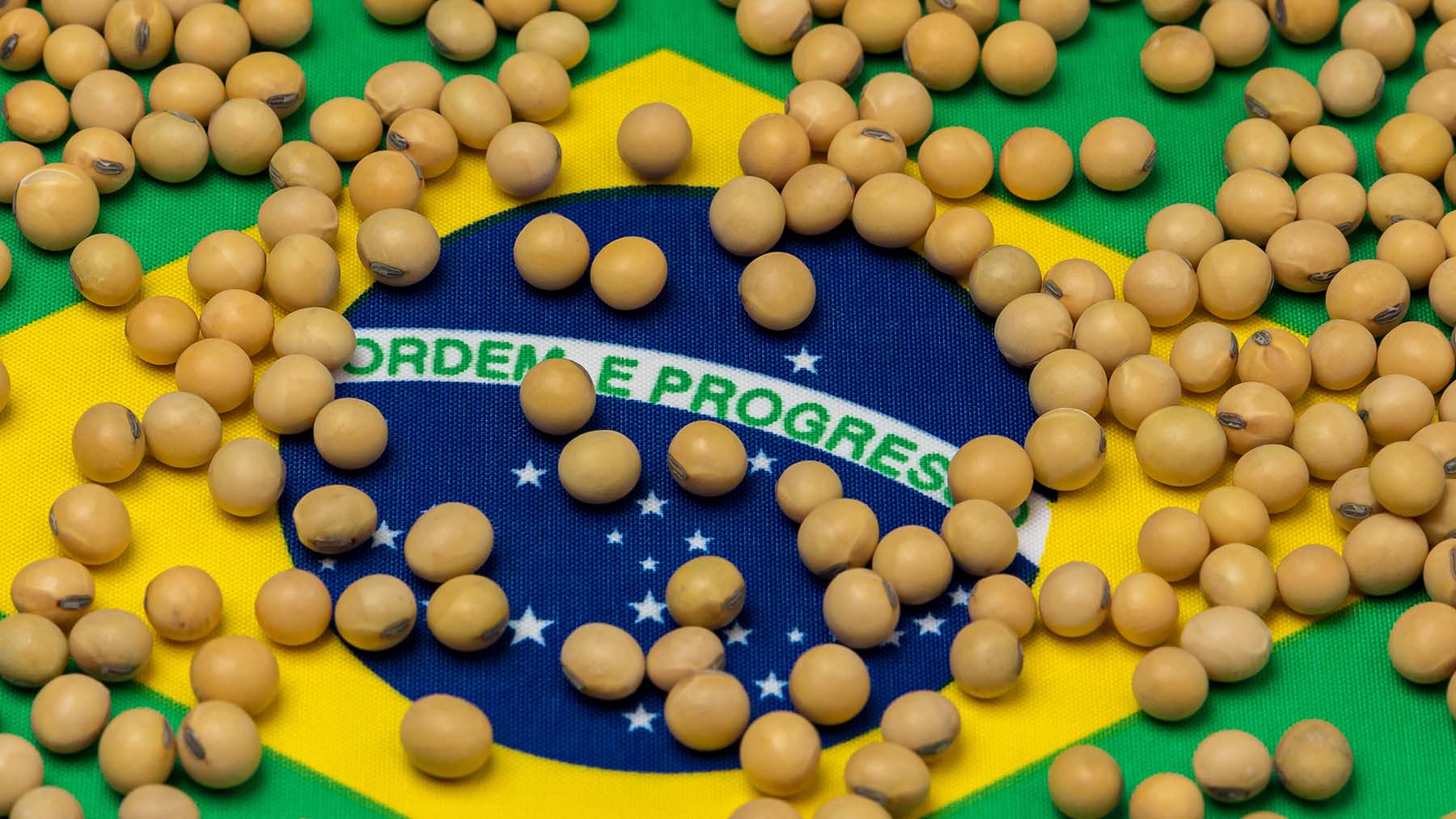 Why does China buy so much soybean from Brazil?