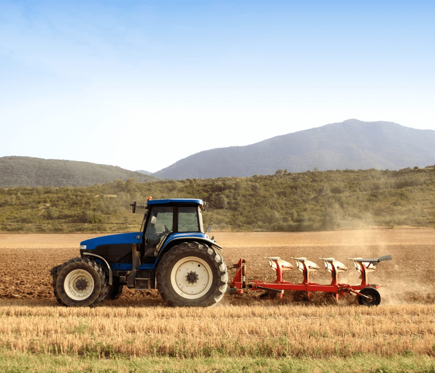 Trigo récord y soja en tensión dinamizan comercio global