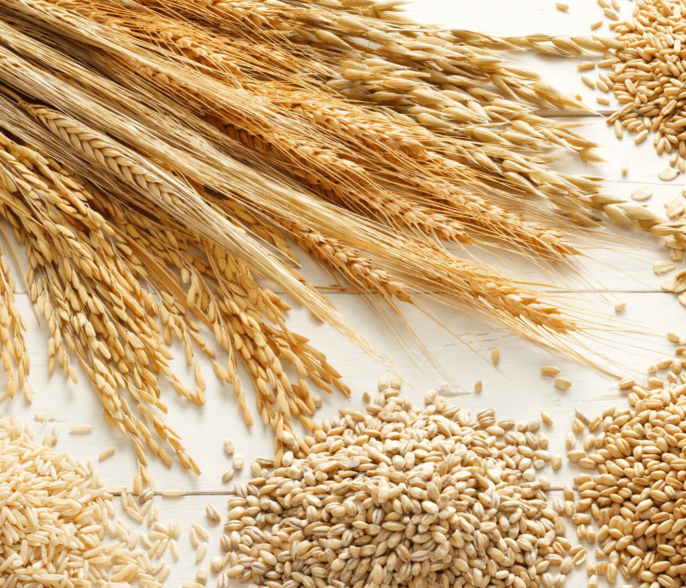 Argentina cierra 2025 con exportaciones agroindustriales récord histórico