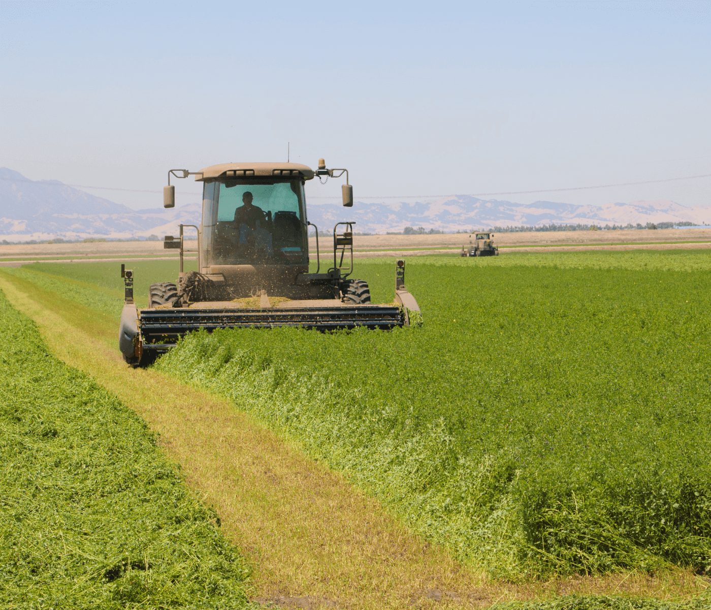 El sector forrajero pide ampliar la superficie de alfalfa en España