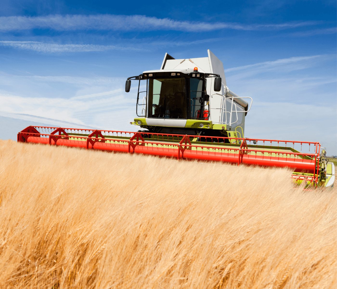 El alza del cereal no cubre el aumento de los costes de producción
