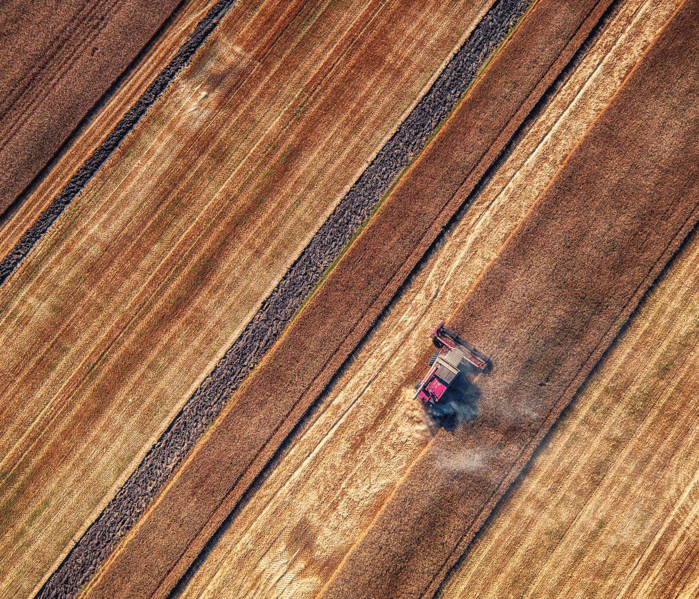 Argentina proyecta una cosecha récord de granos en 2026