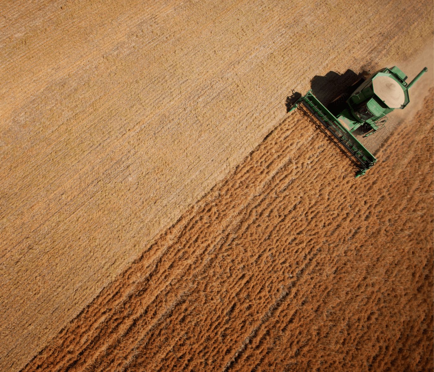 La agricultura ecológica mejora productividad y salud del suelo