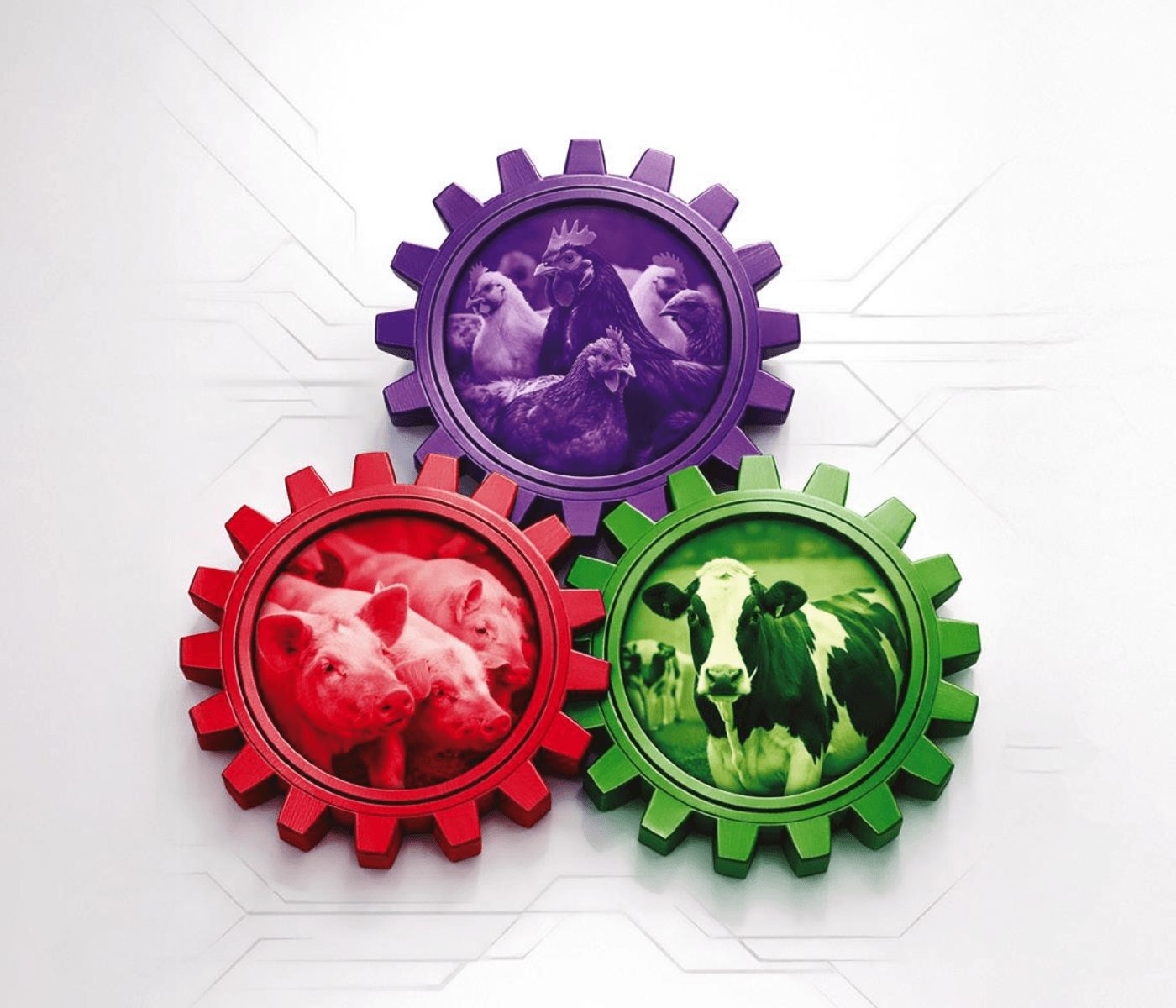 Estrategias de alimentación sinérgicas: desbloqueando el potencial de rendimiento en todas las especies