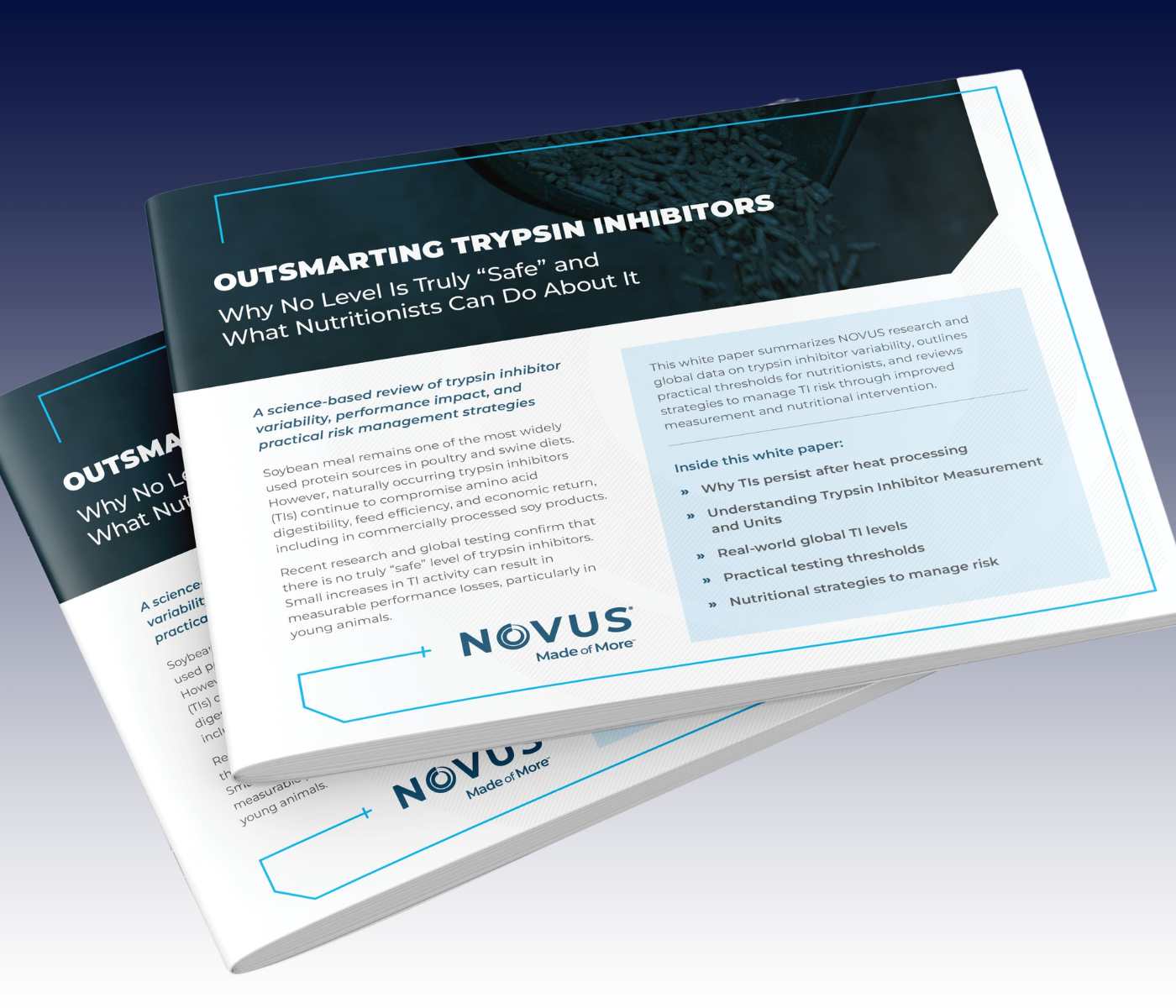 NOVUS Publica Datos Globales de Soya: Destaca Riesgos en Dietas de Aves,Cerdos