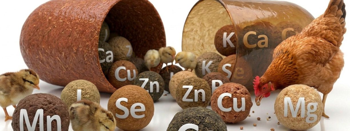 Consejos para navegar por la jungla de la suplementación de minerales