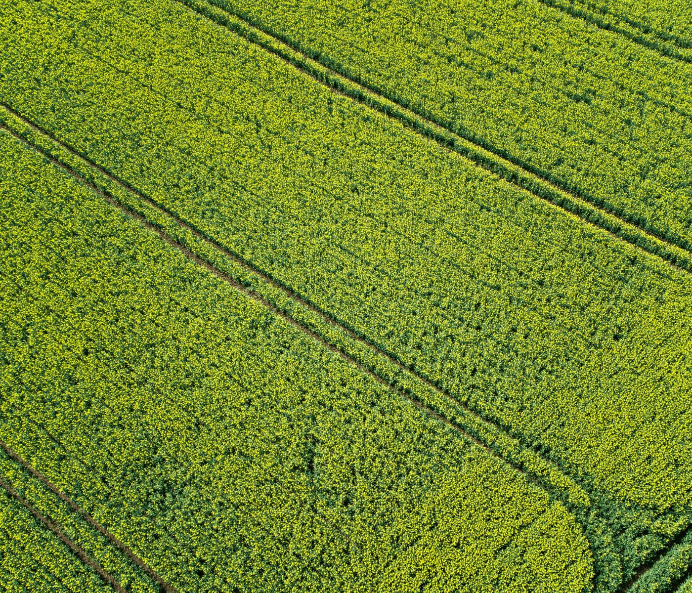 La agricultura sostenible impulsa la rentabilidad del campo español