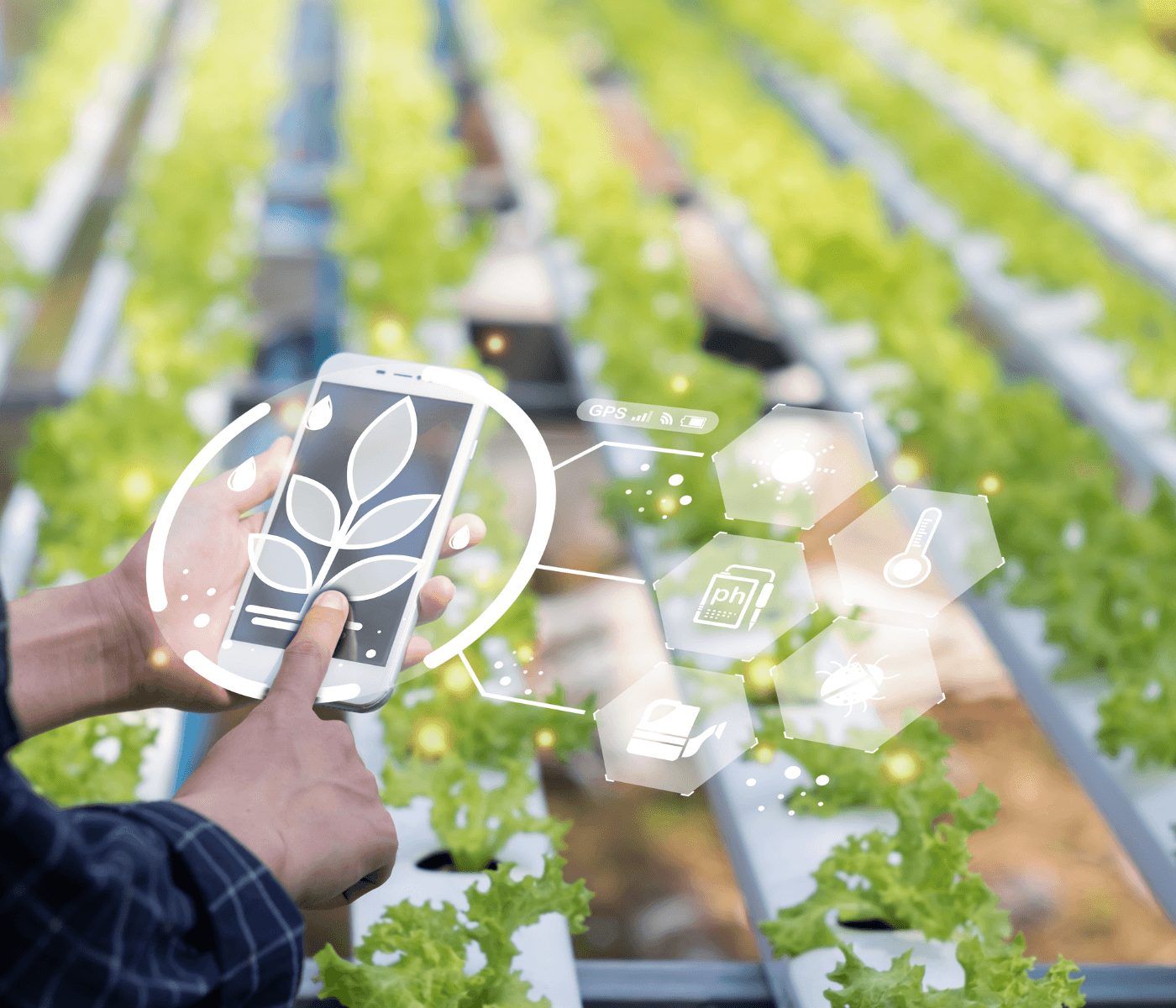 Robot con IA revoluciona el control de plagas en cultivos