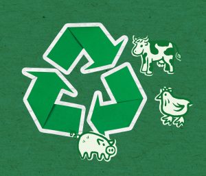 A Indústria de Rendering: Sustentabilidade e Nutrição Animal