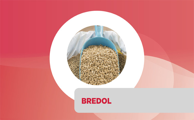 Bredol