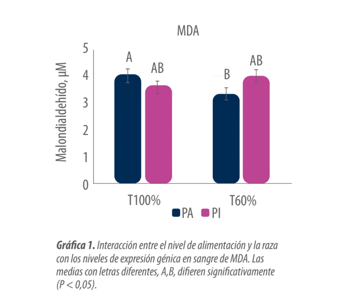 grafica