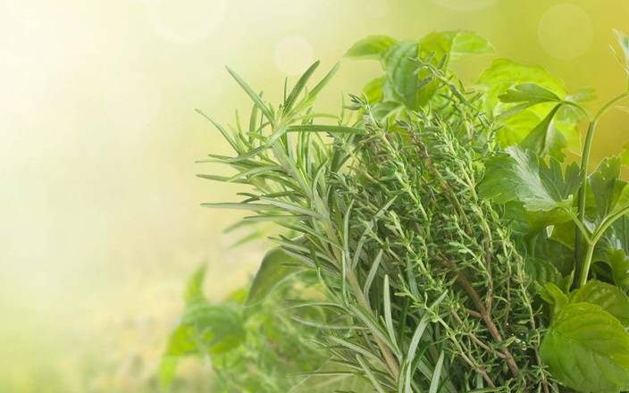 Cholizen: The Phytogenic Replacer of Synthetic Choline Chloride
