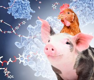 Microminerais essenciais na alimentação de aves e suínos