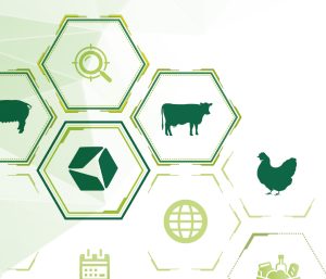 Excelência e inovação na nutrição animal para a América Latina