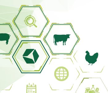 Inovação na nutrição animal promove produtividade, sustentabilidade e qualidade na produção de proteína animal global
