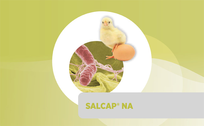 SALCAP<sup>®</sup> NA