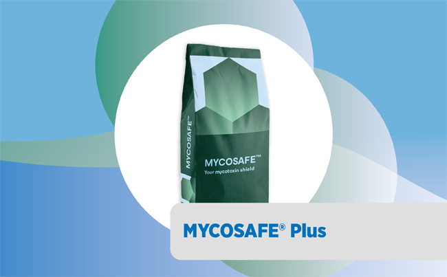Mycosafe