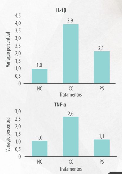 Figura 6 e 7: Efeito da suplementação poliherbal na expressão relativa no jejuno das citocinas pró-inflamatórias IL-1β e TNF-α em frangos de corte sob desafio com Eimeria.