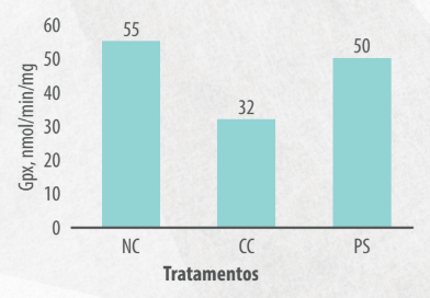 Figura 8. Efeitos da suplementação poliherbal nos níveis da enzima antioxidante GPX no jejuno de frangos de corte desafiados com Eimeria.