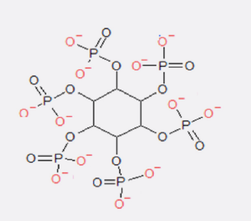Figura 2: Fitato - hexafosfato de mio-inositol; IP-6