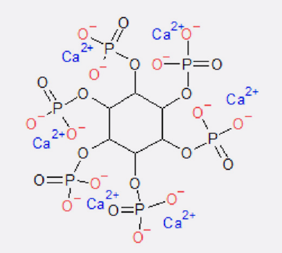 Figura 3: Complexos de Ca-fitato Insolúveis