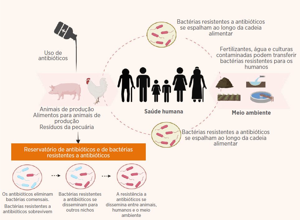 Figura 2: Resistência aos antimicrobianos (RAM) na pecuária, em humanos e no meio ambiente. Adaptado de Silva et al. (2023). Criado com BioRender.com