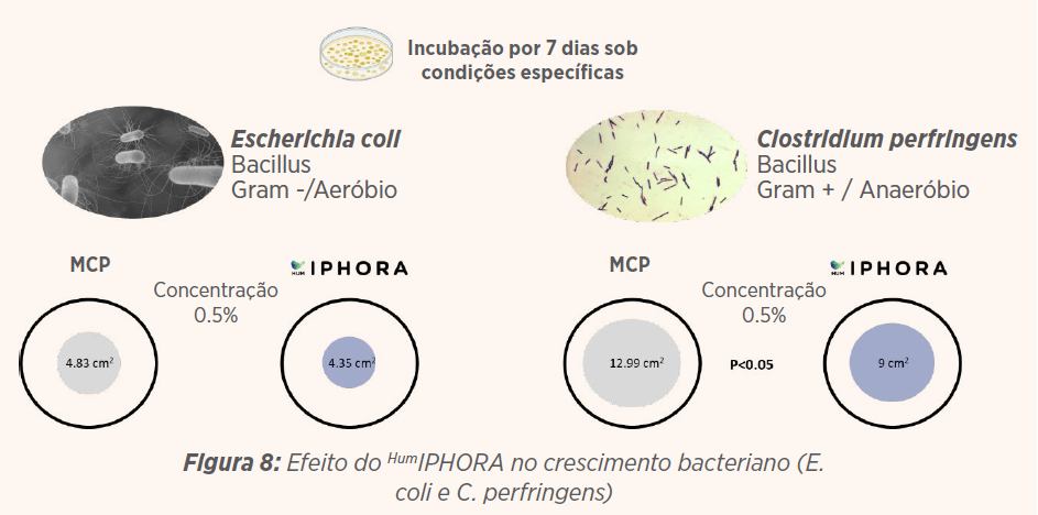 Figura 8: Efeito do HumIPHORA no crescimento bacteriano (E. coli e C. perfringens) 