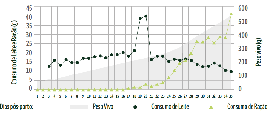 Figura 6.Consumo de leite, ração e ganho de peso diário de láparos da raça Nova Zelândia Branco do nascimento ao desmame (35 dias de vida) sob condições de aleitamento controlado.