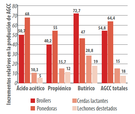 alimentación sinérgica en producción animal