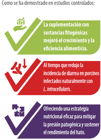 alimentación sinérgica en producción animal