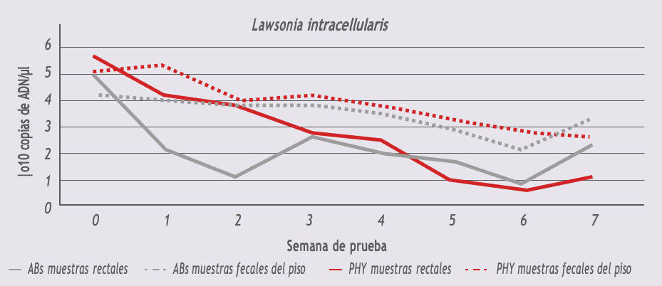 alimentación sinérgica en producción animal