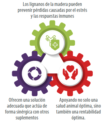 alimentación sinérgica en producción animal