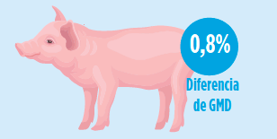energía neta en alimentación porcina