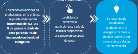 energía neta en alimentación porcina