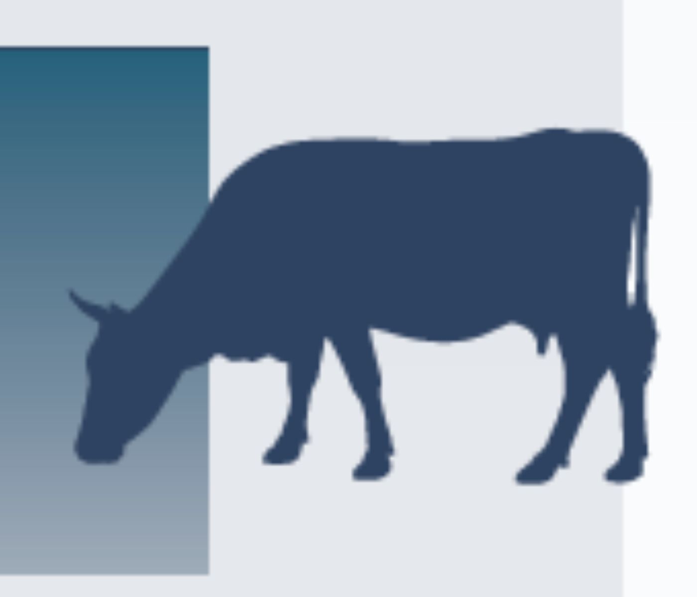 pHix-up improves rumen stability in dairy cows