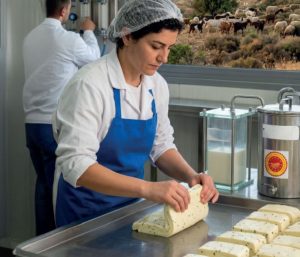 Optimizing nutrition for dairy goat and sheep productivity in Cyprus