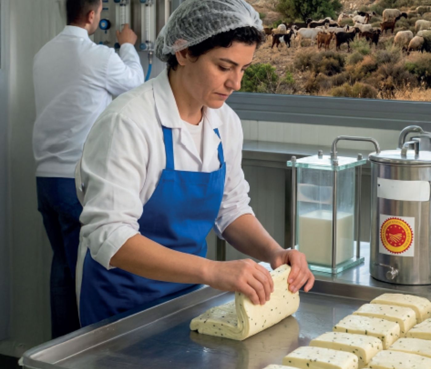 Optimizing nutrition for dairy goat and sheep productivity in Cyprus