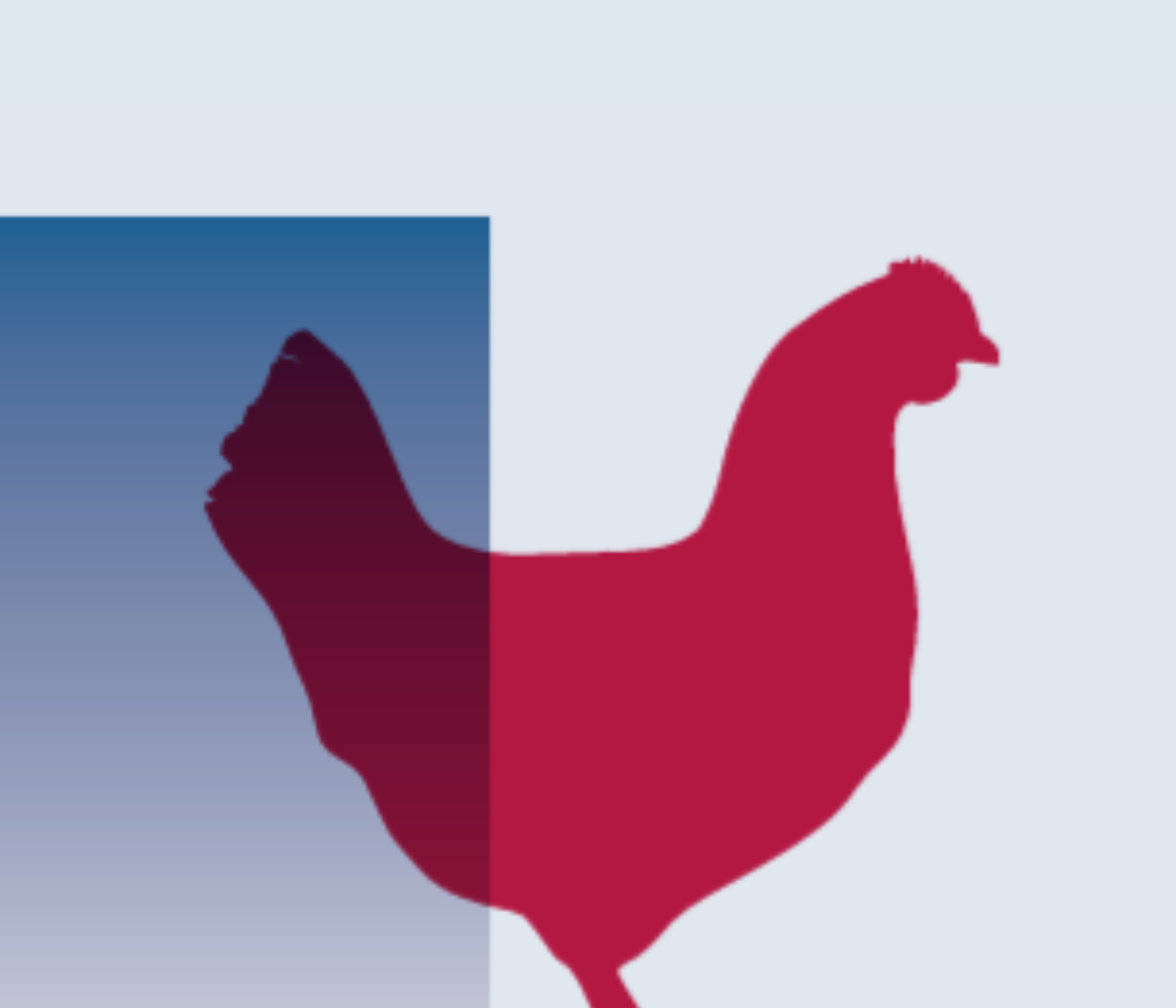 La suplementación con Celmanax en dietas de reproductoras y pollos de engorde