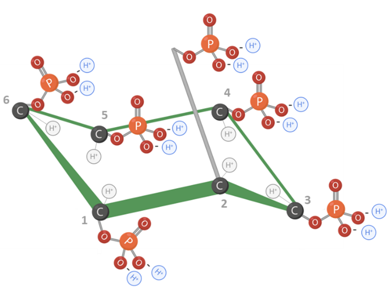 Figura 1: Estrutura molecular do ácido fítico. Adaptado de Vieira et al., 2018. Criado em BioRender.com