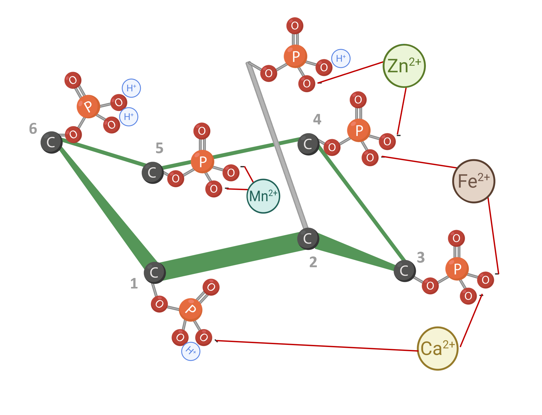 Figura 4: IP6 ligado a cátions. Adaptado de Vieira et al. (2018). Criado em BioRender.com
