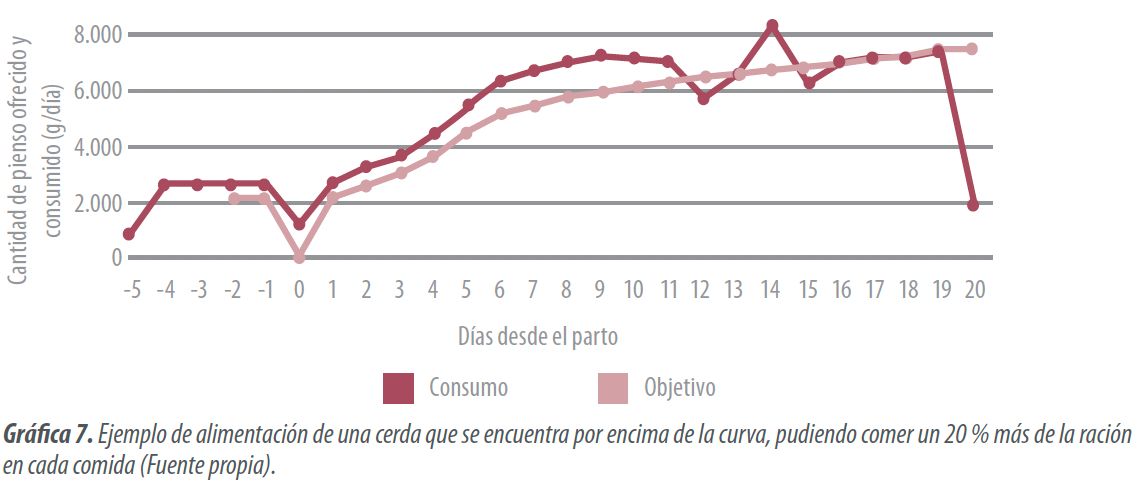 grafica7