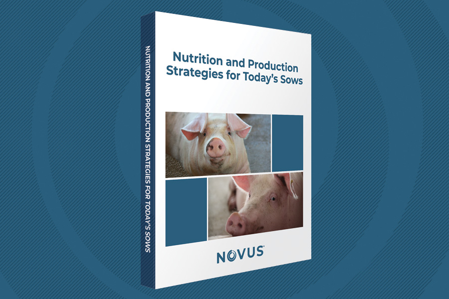 NOVUS: Launch Events for New Swine Book