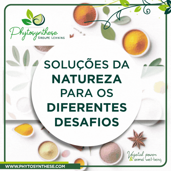 http://PHYTOSYNTHESE