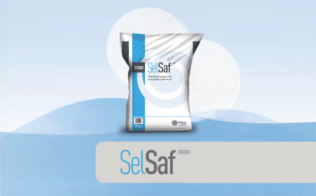 SelSaf 3000