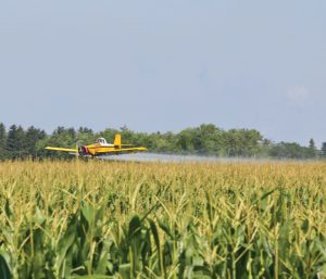 Impacts of Glyphosate-based herbicides on poultry