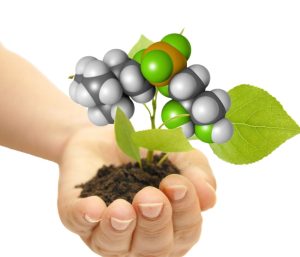 Still using choline chloride in animal nutrition?