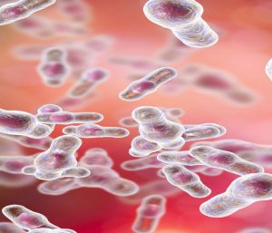 Targeted strategies to combat Necrotic Enteritis in Broilers