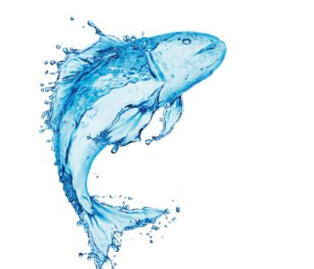 aquafeed protein utilization efficiency