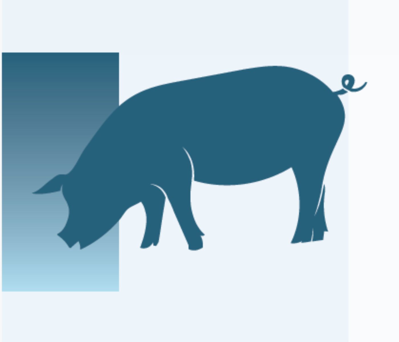 Exogenous Protease in Piglet Diets