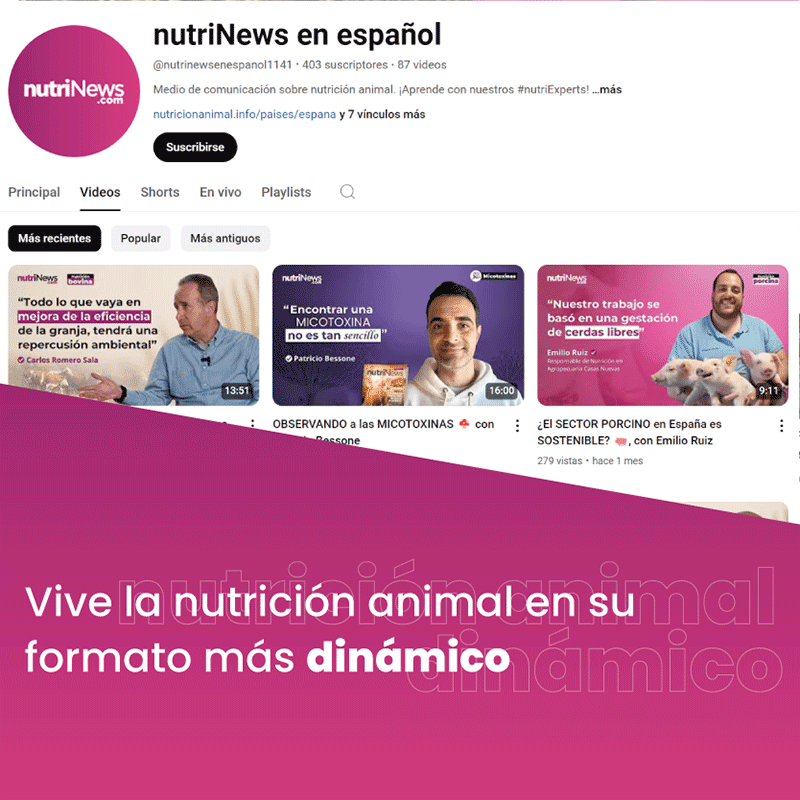 http://Youtube%20nutrinews%20en%20español